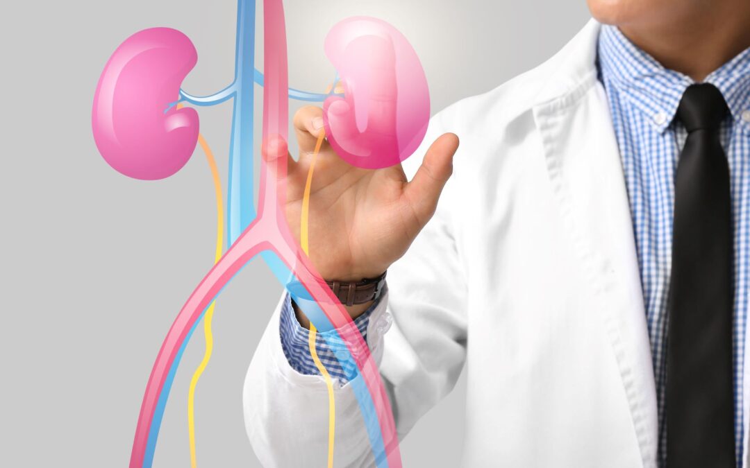 Kidney Stone Treatment in Mumbai at Prabhakar Bhurke Clinic